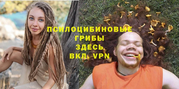 дживик Волоколамск