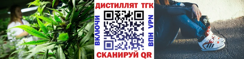 ТГК вейп  Грязовец 