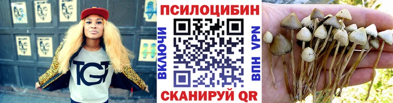 где купить наркотик  Грязовец  KRAKEN сайт  Псилоцибиновые грибы Cubensis 