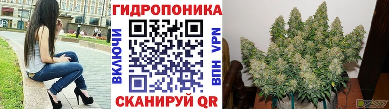купить   Грязовец  Марихуана Ganja 